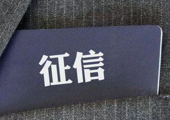 樸道征信：累計線上調用逾45億次，日調用峰值達3500萬次